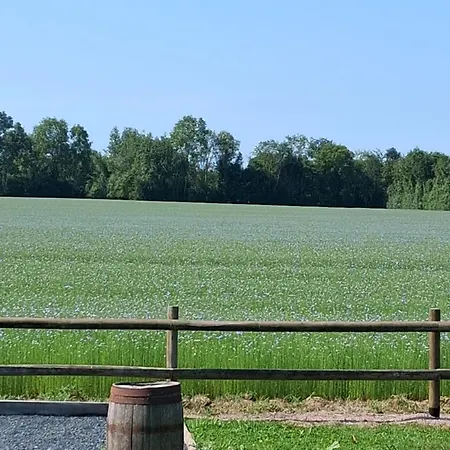 Josey Wood Ranch Saint-Symphorien (Eure)